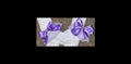 Frilled socks